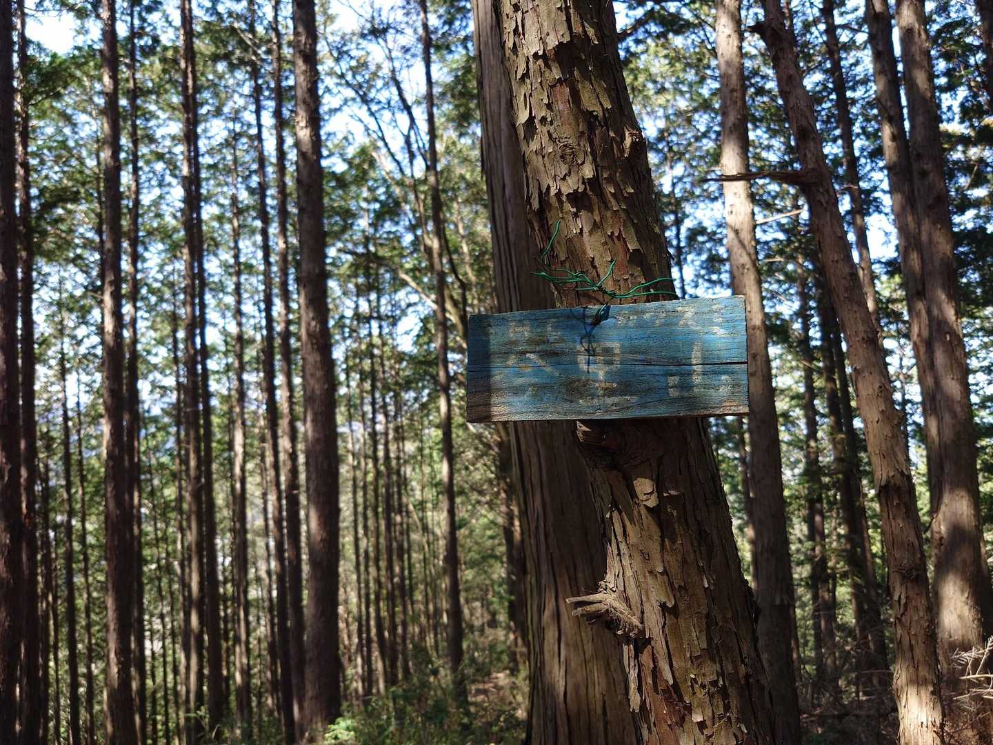  次石山登山口-小倉城山-小倉城八方館跡-今里山-与松山- 周回コースの写真