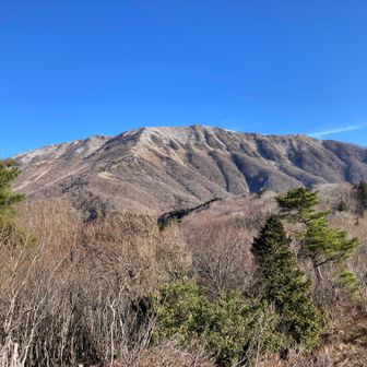 伊吹山が圧巻です。