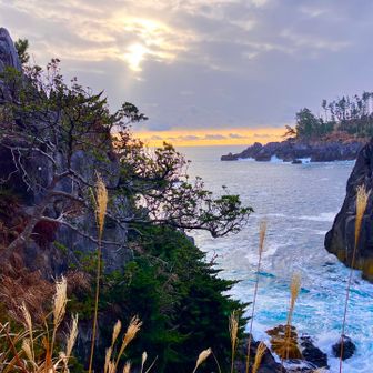 水辺近くに降って見ます(津波🌊くるなよ)
