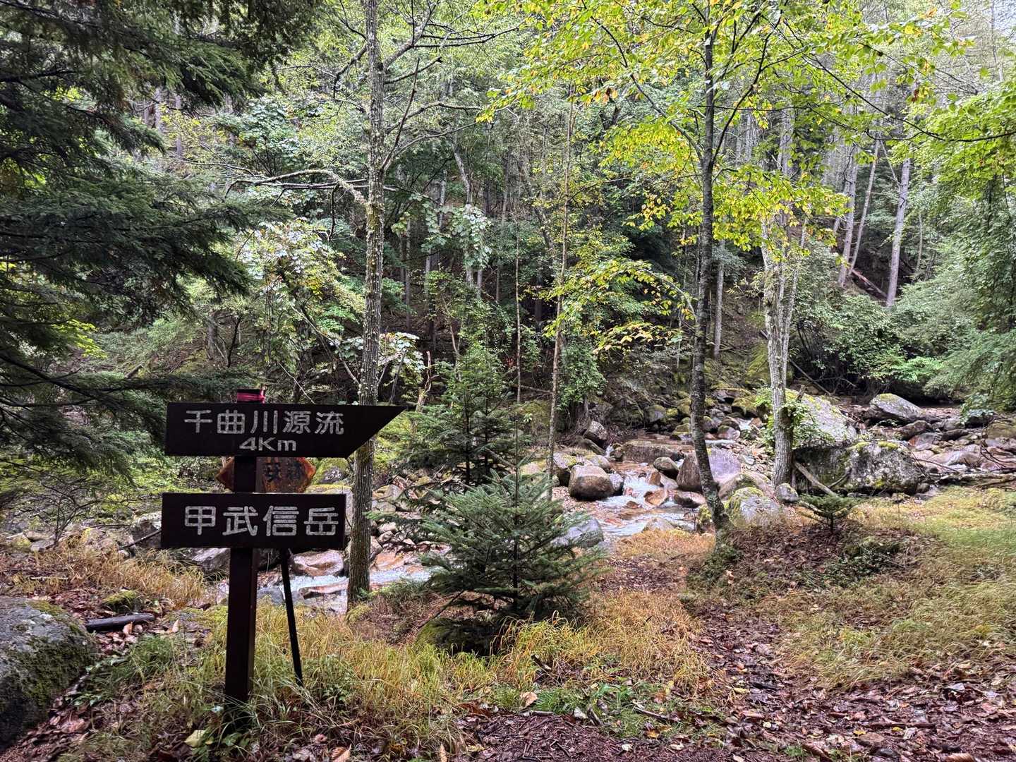 まだ始まったばかり😂