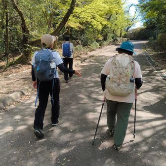 春を楽しみます。
木漏れ日を踏みしめていいなぁ！