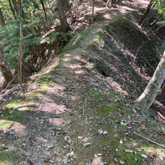 1人分の尾根、ここを過ぎると白砂山標識を見て左手に上がる