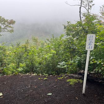 岩倉山踏破。ここも真っ白。隣の葉山展望台も同様。