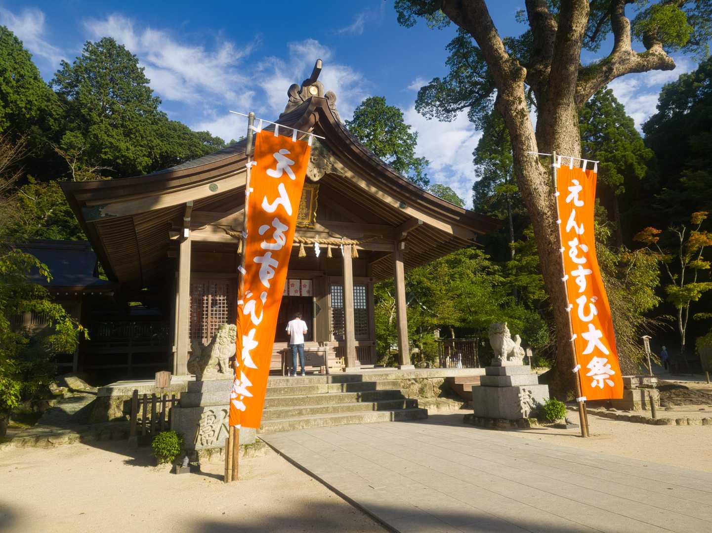 今回も同じ道で下山👣
