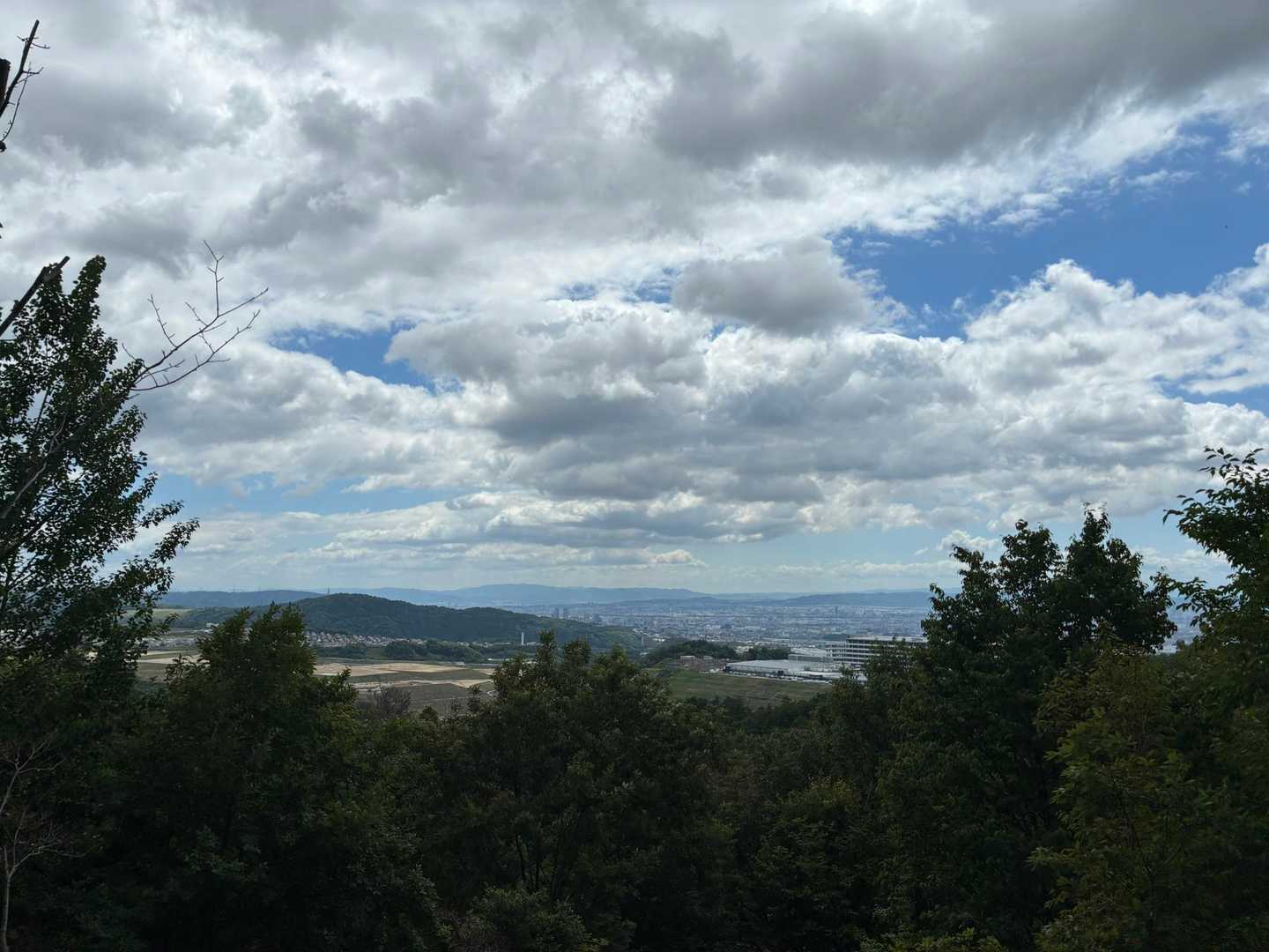 鉢伏山 往復コースの写真