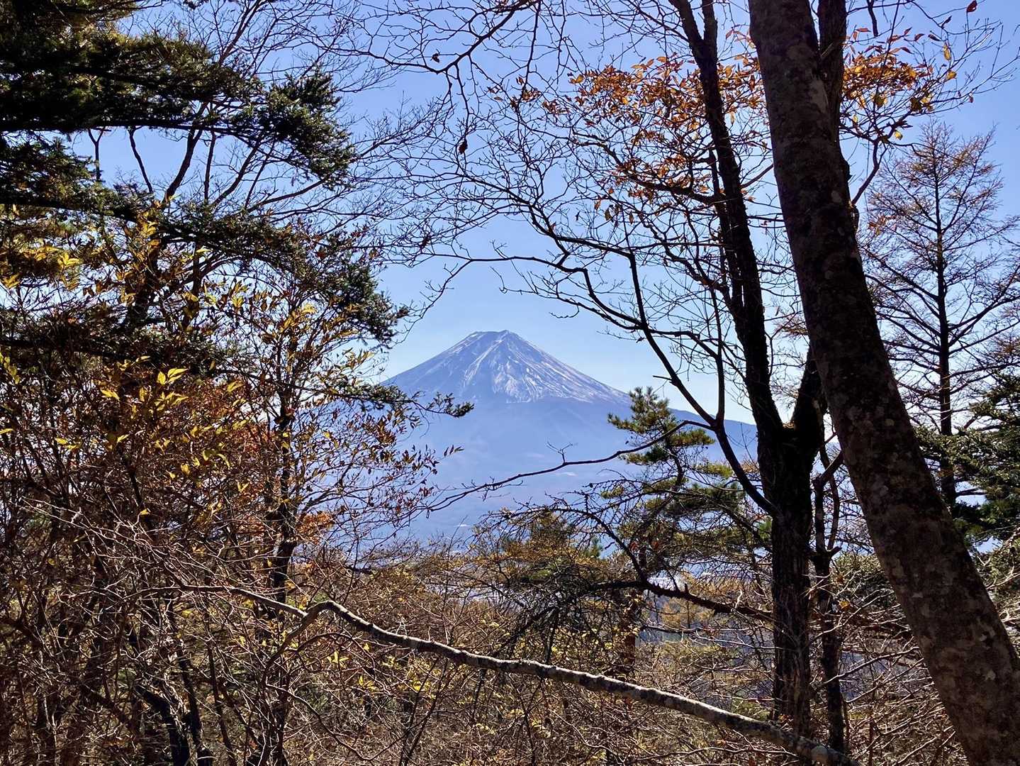 尾根道から時々チラリ富士山か
