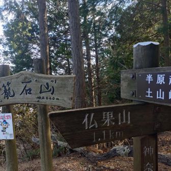 1.1km…。精神的疲労としては仏果山から10kmは歩いた気がする