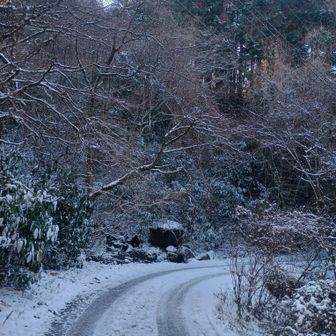 女体山からキャンプ場を下って坊主山への登山口へ。キャンプ場コースはすっかり雪国の様でした😊