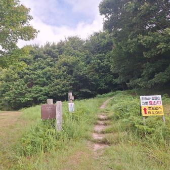 キャンプ場を過ぎて
赤坂山登山口🥾
こちら手前にもトイレありました🚾