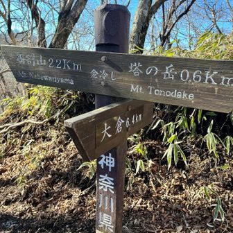 金冷し

鍋割山との分岐🍲