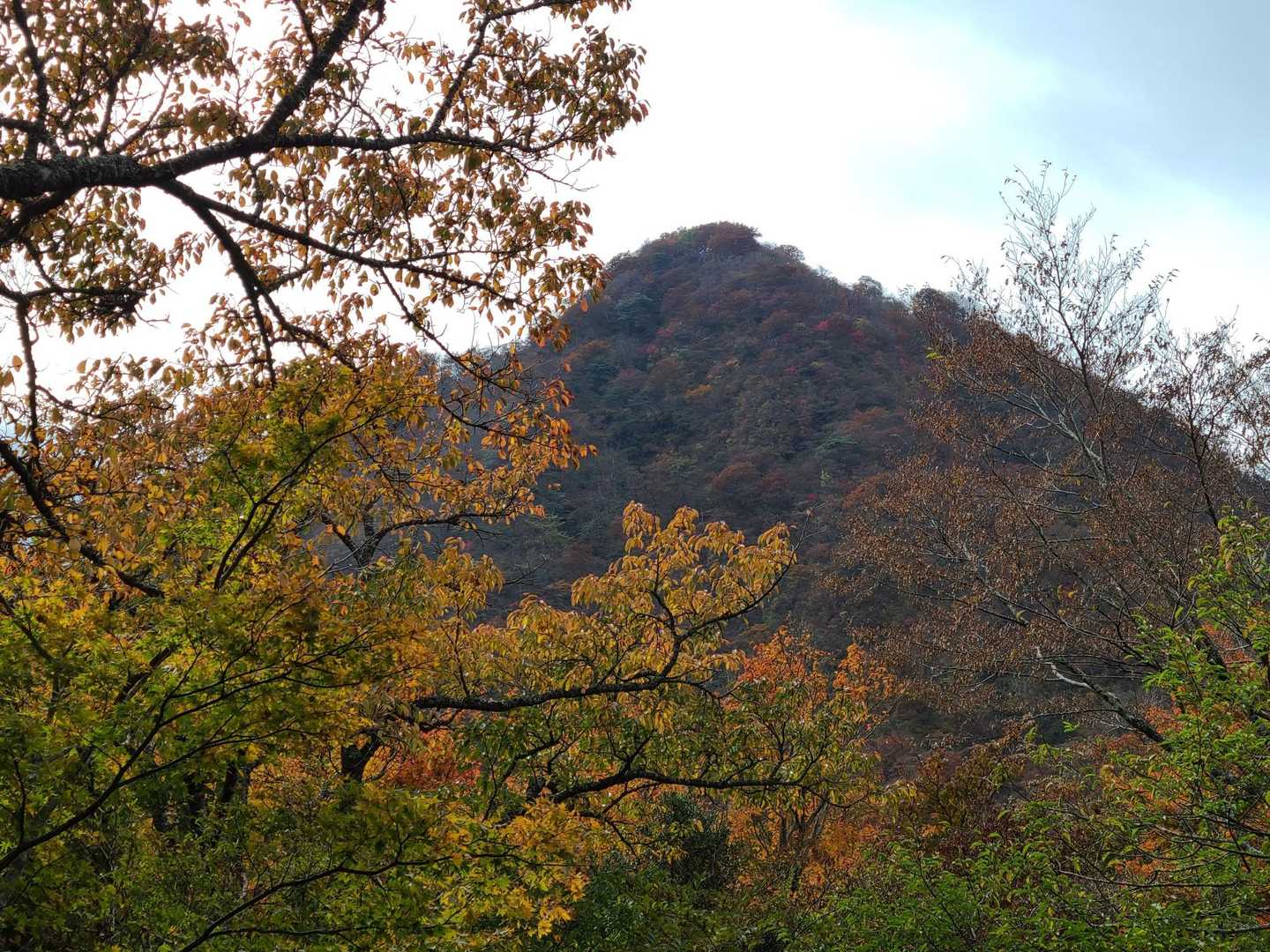丸鉢山からの金時山
