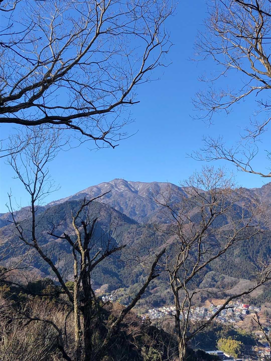 大山さぁ~ん📢
薄っすら雪化粧みたいです