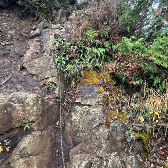 ここからロープがかかる岩場３ヶ所