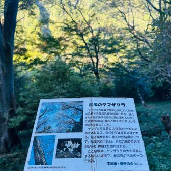 ここは桜🌸の時期にまた来たいな