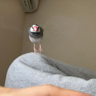 みちき