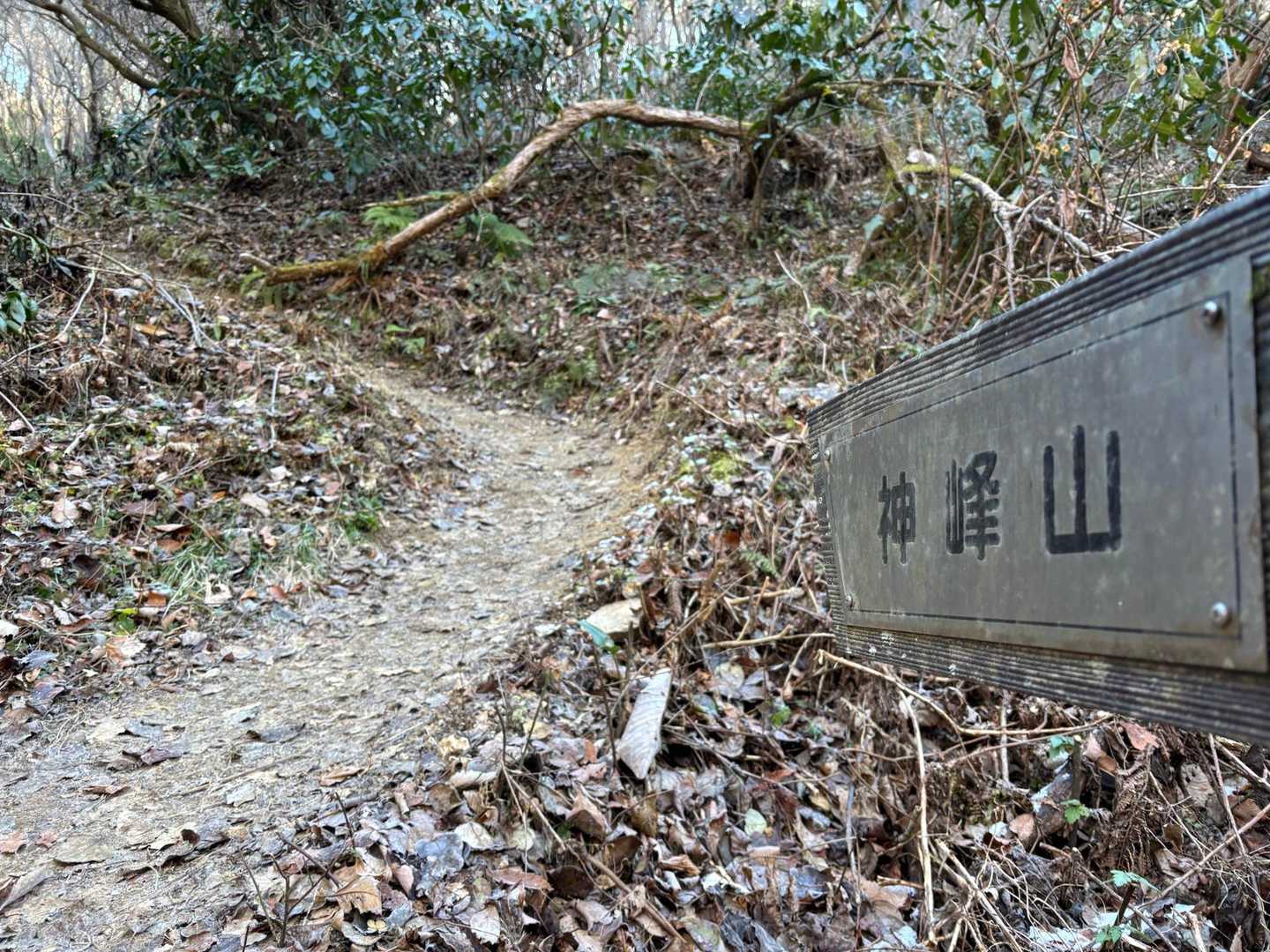 向陽台駐車場🅿️に移動して
神峰山へ