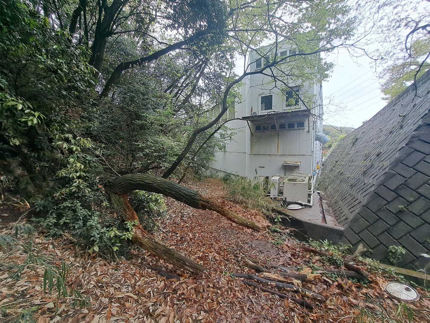 しかしえらい出口やなぁ～(^^;