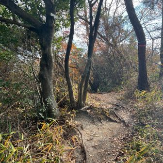 42　東小松山　267.8m
No.24