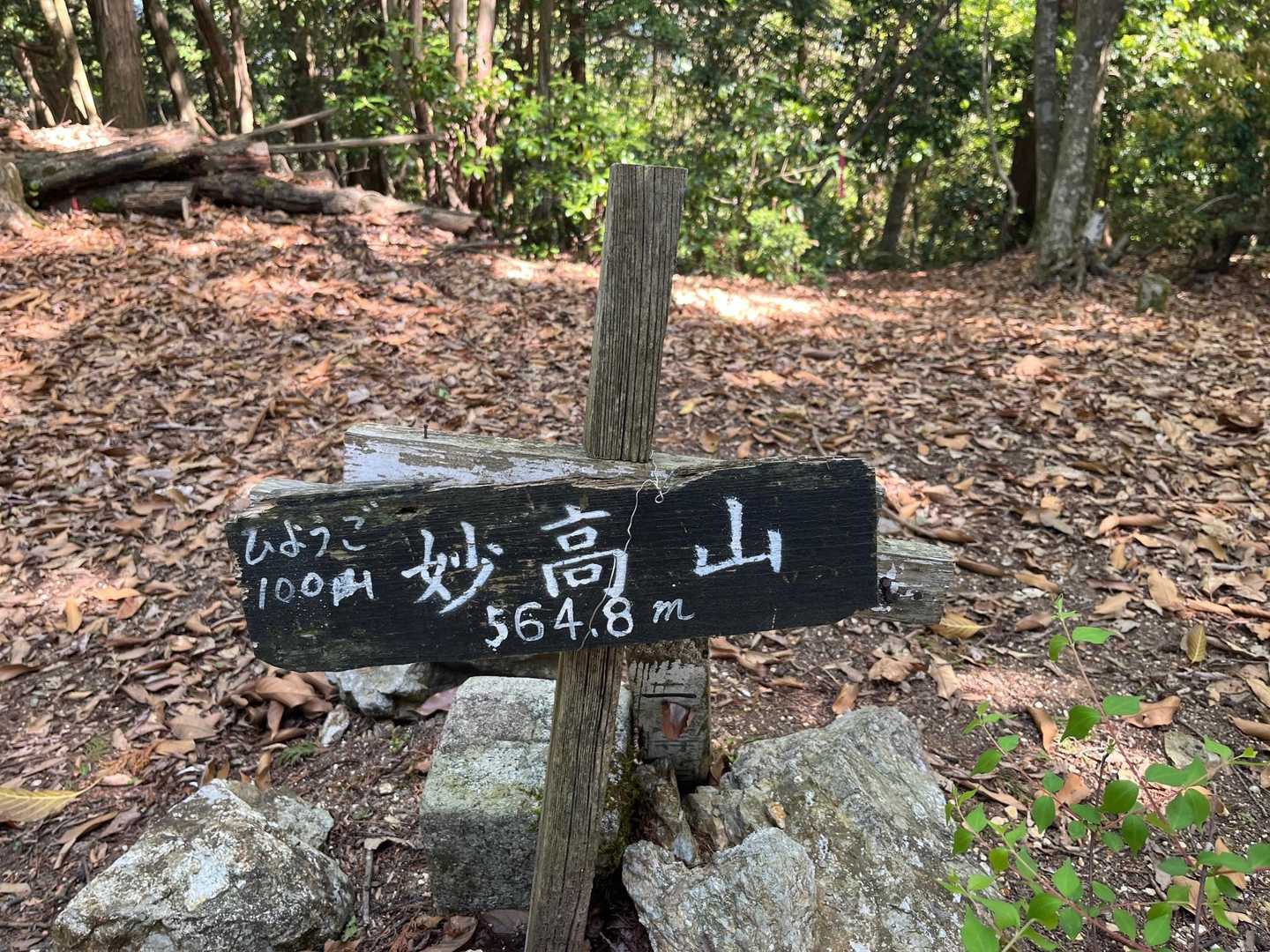 山頂到着🚶🏻
眺望は無し😅
すぐに下山します