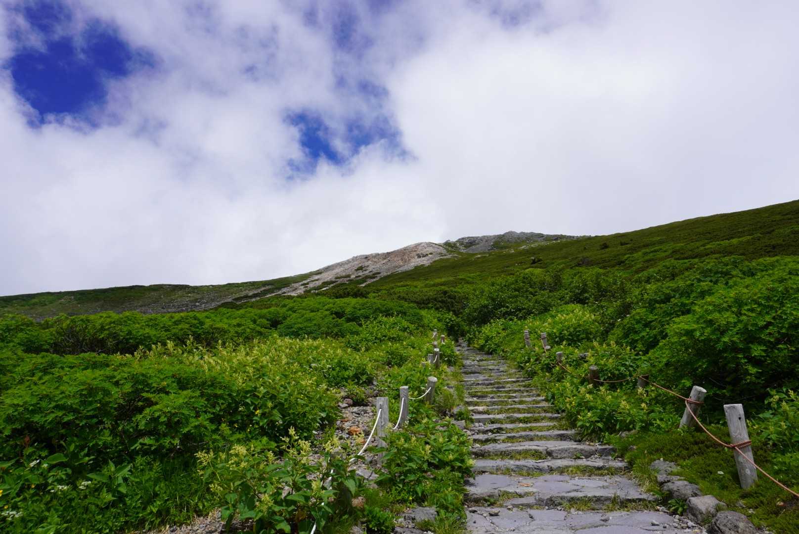 砂防新道-白山-観光新道 周回コースの写真