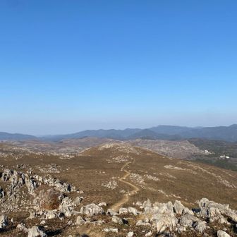 うーん、もっと歩きたい。