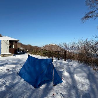 強者のツェルト