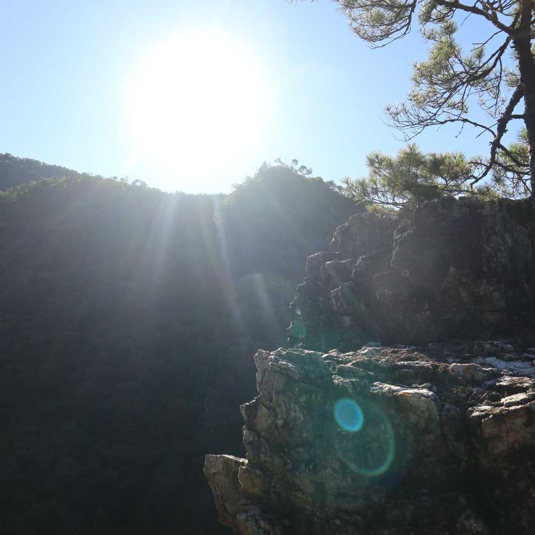 白山展望広場-百々ヶ峰 周回コースの写真