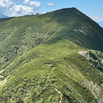 前小河内岳から少し歩くと
小河内岳2802m

雨雲が近づいてたので進まずに小屋へかえりました。