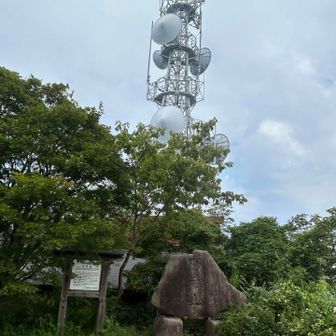 山頂です。