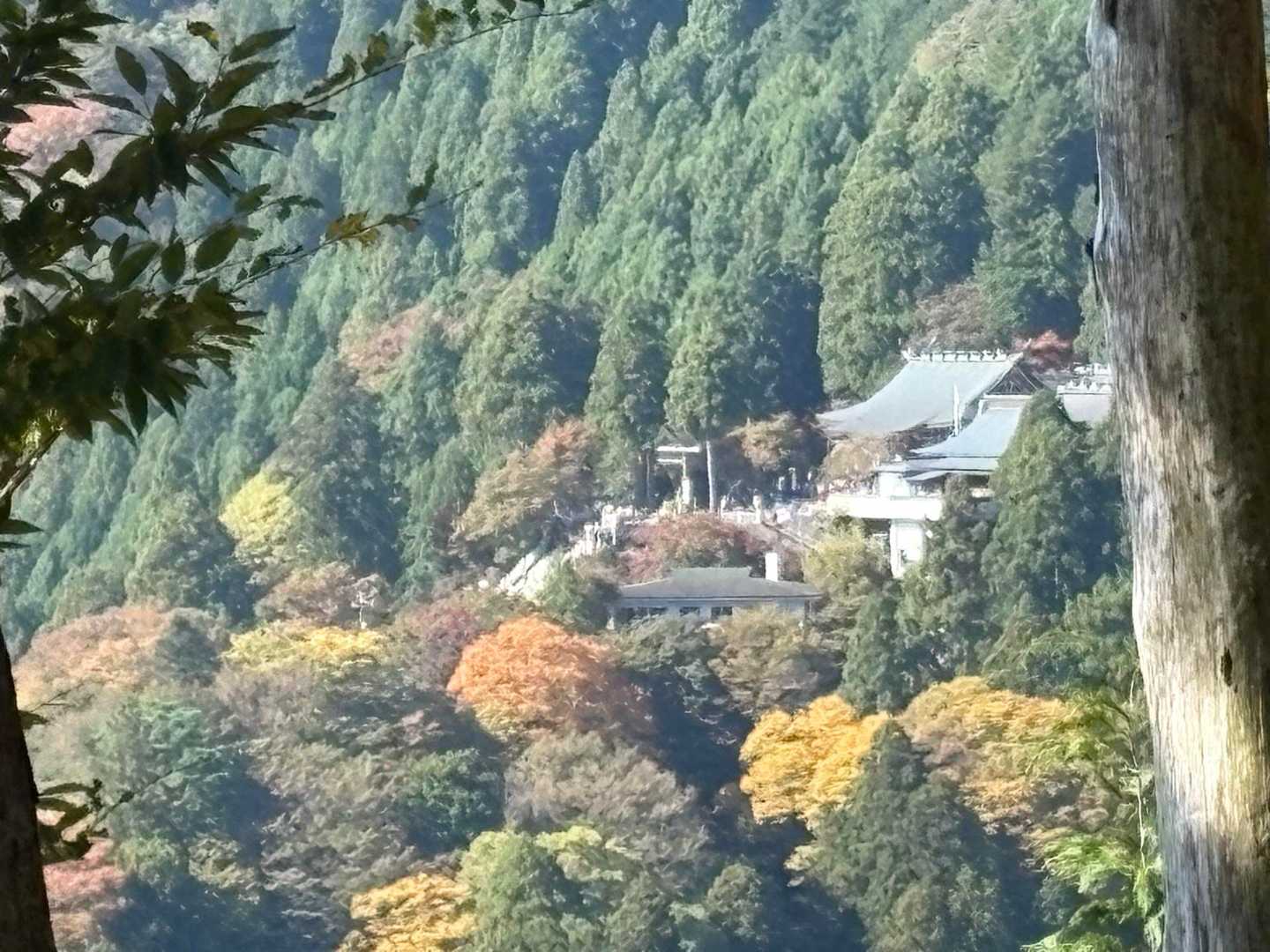 見晴台近くの木々の間から、大山寺が見えました。