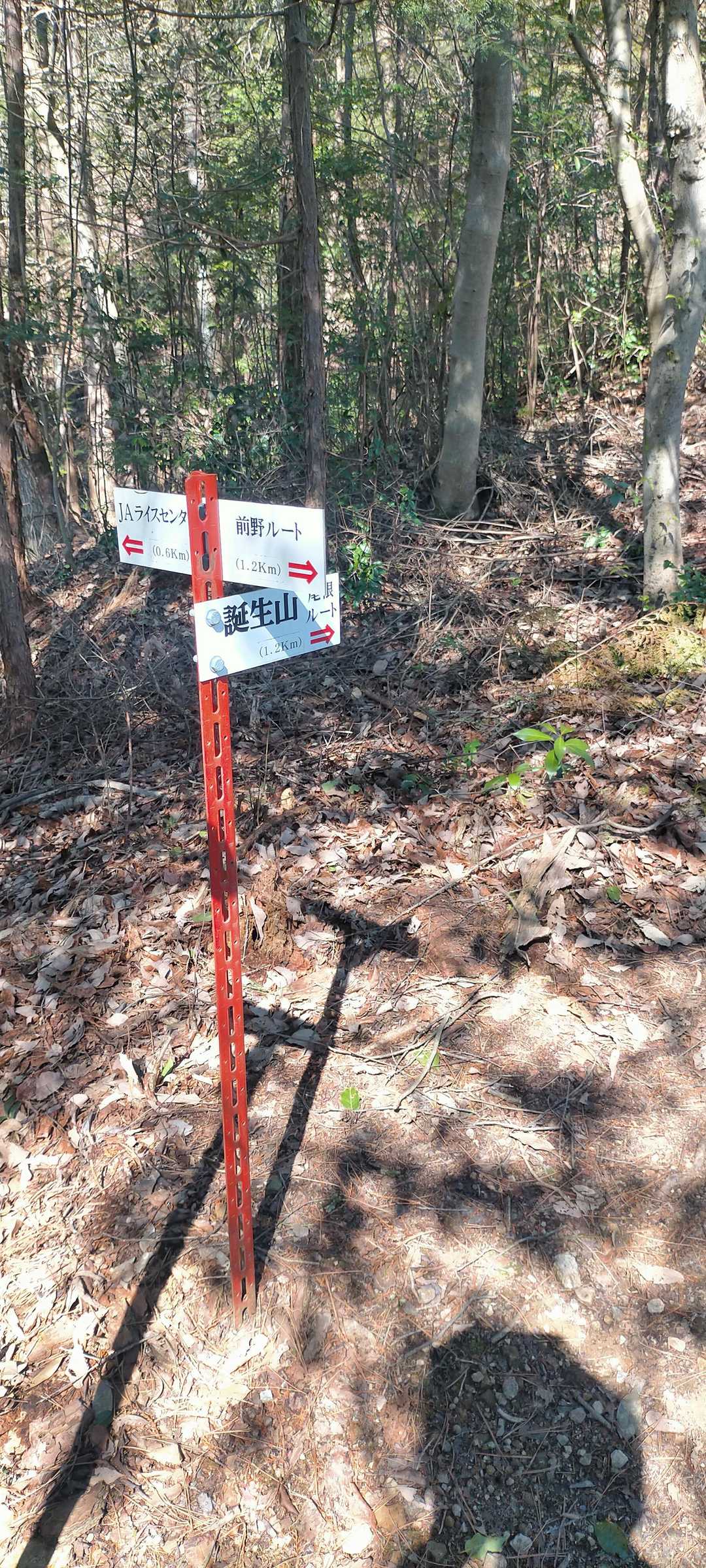 登山途中にある方向標識
