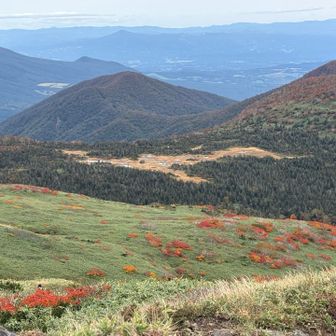 この景色を眺めながらランチ

風が冷たくて気温も6度ほど
寒くて上着を足しました