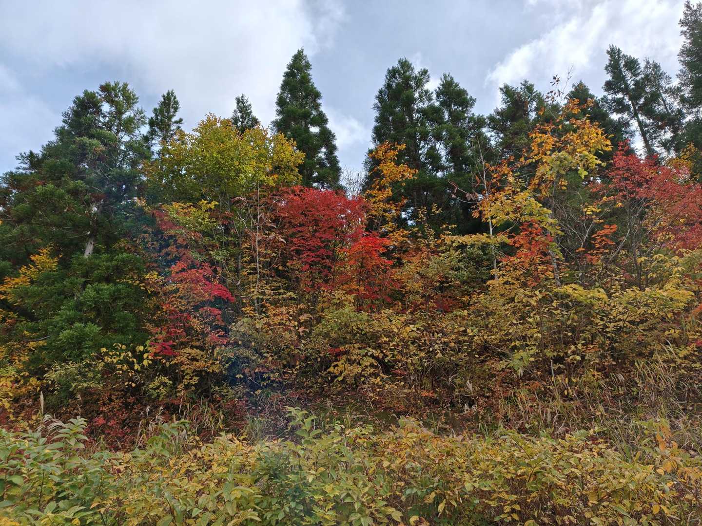 森のえきから1時間で登山口。
車中からの渓流は素晴らしぃ🍁鉱山の説明に頷きながら川の流れや滝が素晴らしぃ！と見下ろす…私