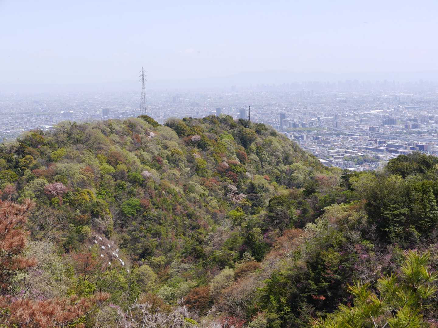 最初の見晴らしがいい場所
桜は終盤です