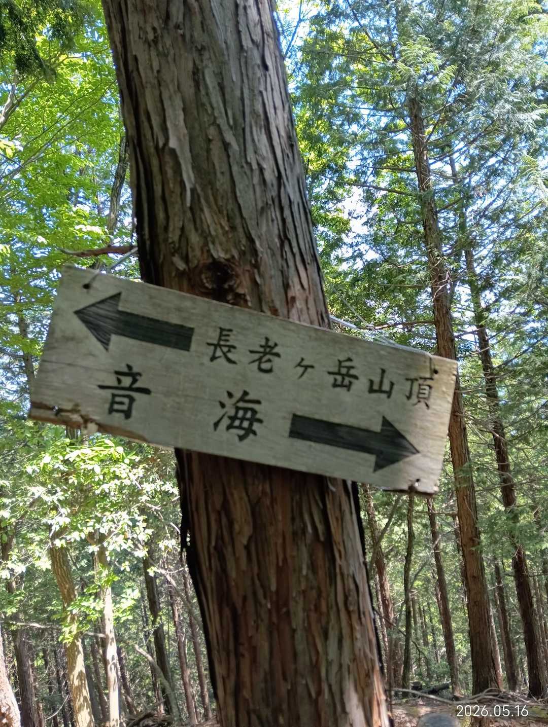 音海(おとみ)へ帰る

少し道を外れると枯葉の海
葉海(はうみ)にハマります