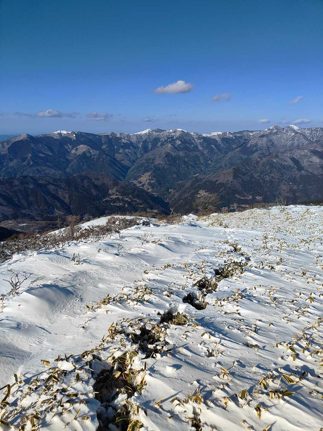 天狗塚登山口-第1ピーク 往復コースの写真