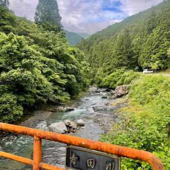 池杉山登山口から尾根の取り付きまで
林道を歩いていきます