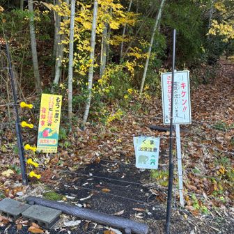 なんだか物々しいけど勇敢なTOMちゃんが
電線を慎重に外して…ハッタリかと思いきや電流がパチパチと音を鳴らしてるぅ😱
みんな通過してまたソーッと電線を付け直すTOMちゃん、すごすぎる！