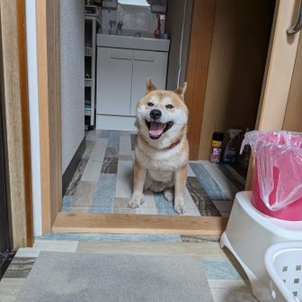 ミー