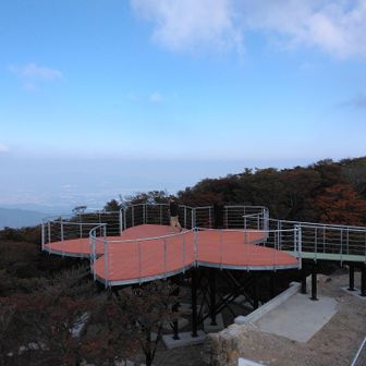 フルール
いい形してますね
