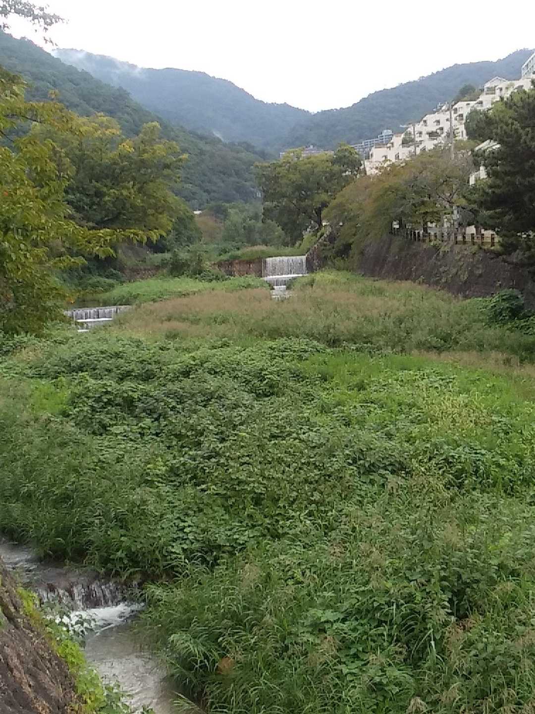 地獄谷も水量、マシマシだろうな～