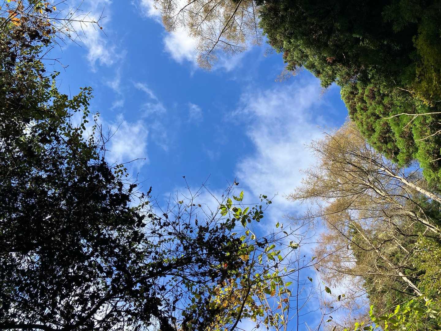 青空🤩
