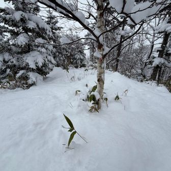 登れそうな所あった。行くぜ‼️😁