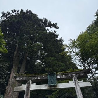 今日も頑張って下から登ることにしました♪
