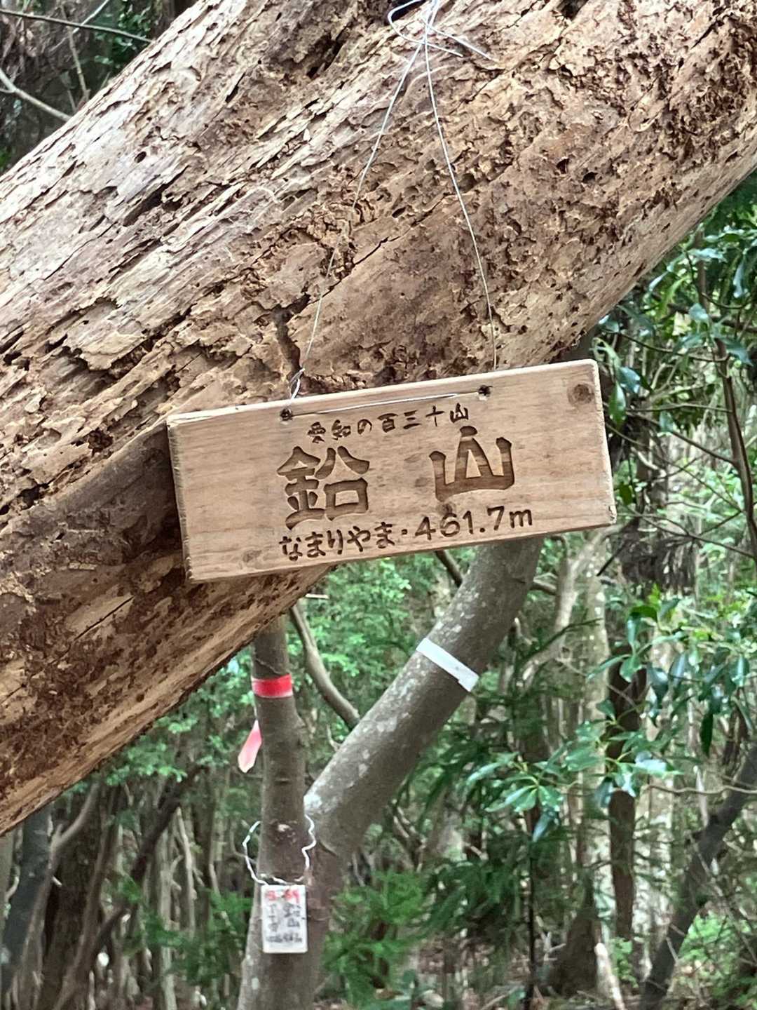 峠から20分程で鉛山の山頂に到着しました💪