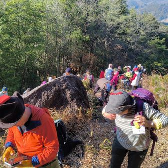ここからうさぎ岩が一番綺麗に見られます！
ゆっくり見て下さい😊
おぉ～何処を見てますか？
上を見て下さいね。