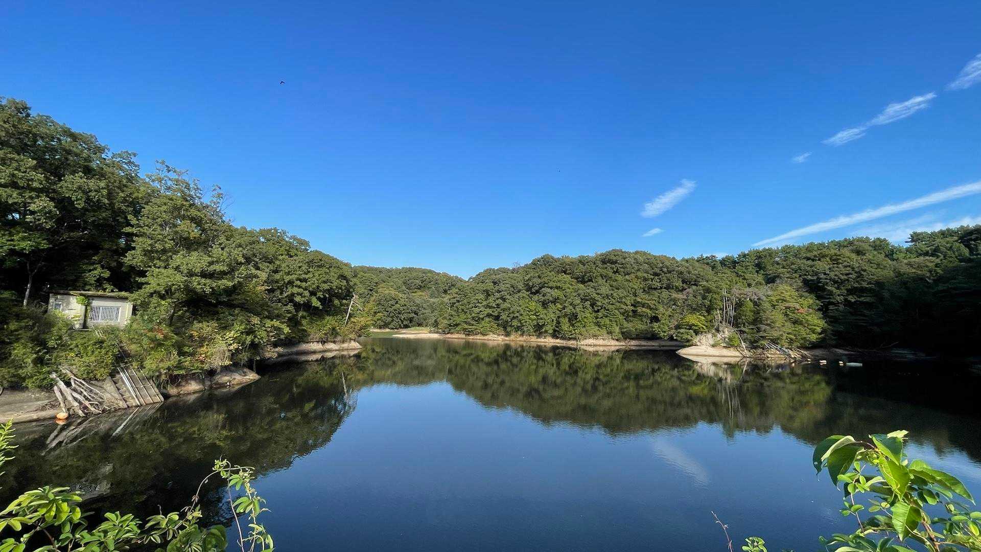 凪の白旗池は心を穏やかにしてくれます