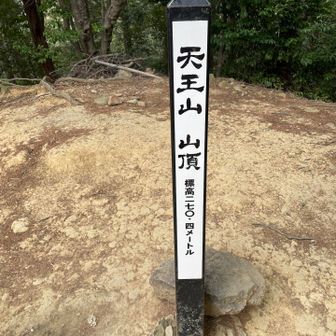 最近の研究で、秀吉は天王山の合戦に間に合わなかったっぽいって、新聞に書いてました
それでも天下人になるのが、逆に秀吉っぽいな〜