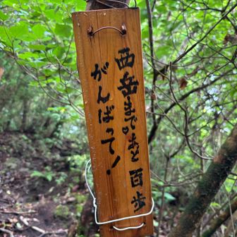 なんかこういうのあったら頑張れる💪
