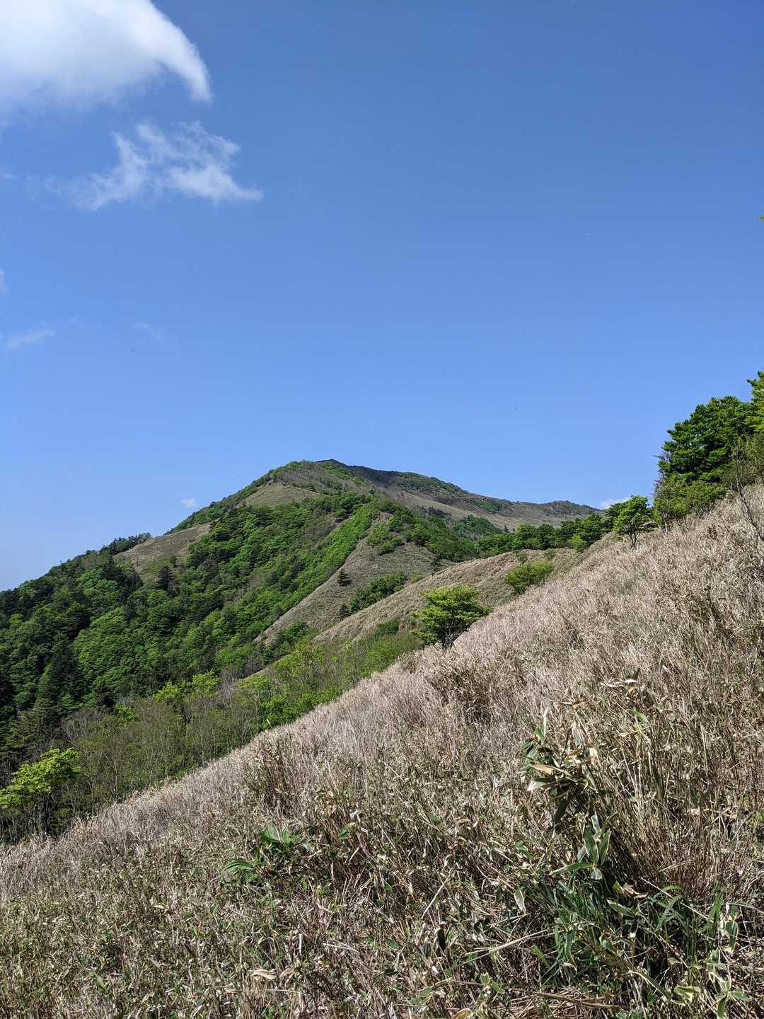 平家平-冠山-一ノ谷越-獅子舞の鼻-大坂屋敷越-大永山トン 縦走コースの写真